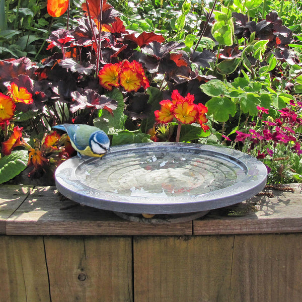 Aristotle Oasis Wildlife Bath