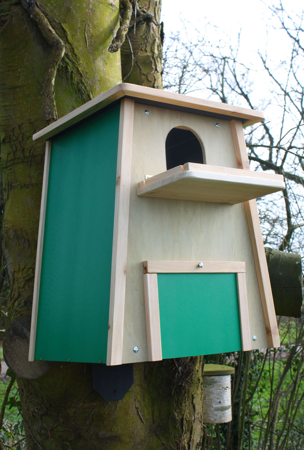 Barn Owl Nest Box