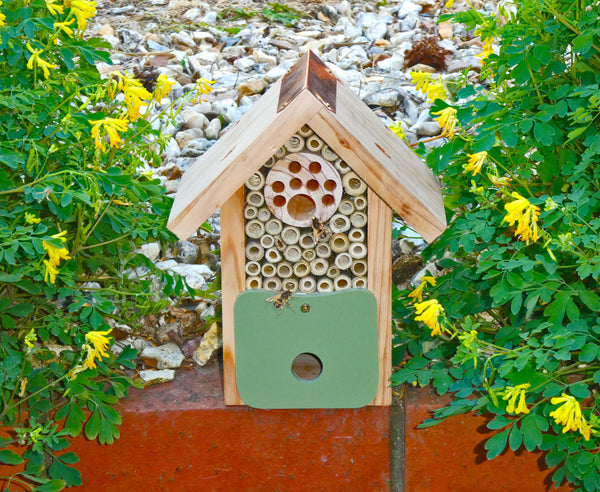 Bee Barn