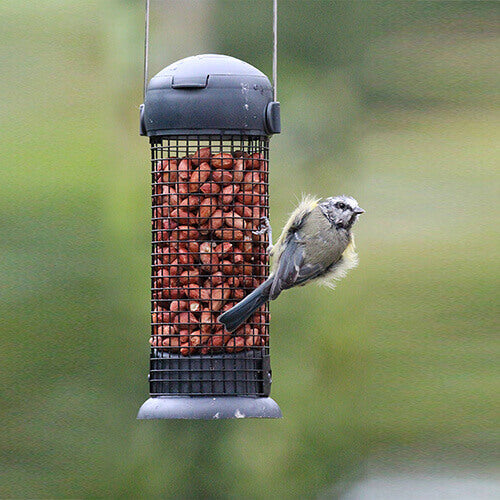 Essentials Peanut Feeder