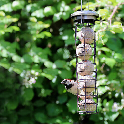 Heritage Fat Ball Feeder