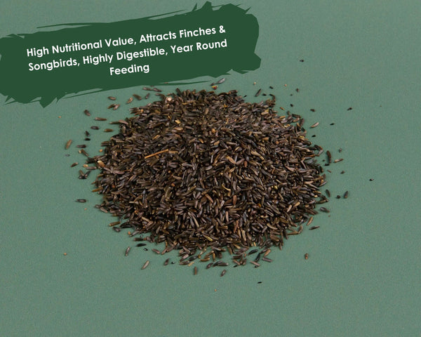 Niger Seed