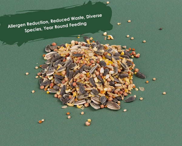 No Wheat Bird Seed Mix