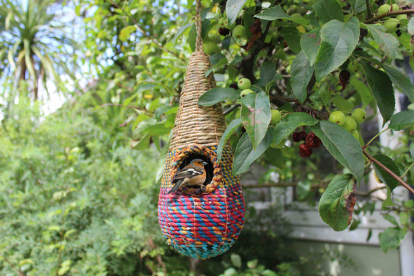 Tahera - Artisan Bird Nester