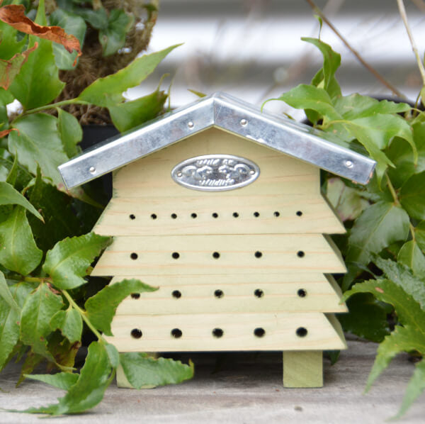 Beehive House