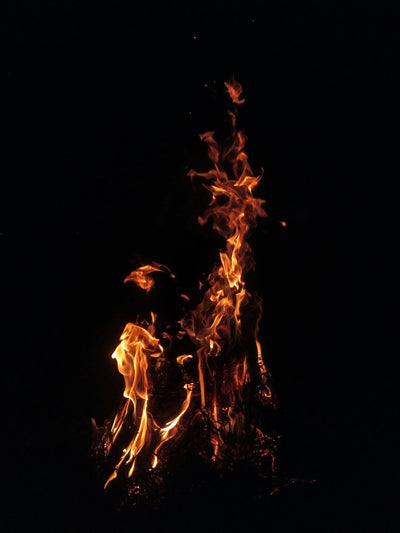 Wildlife-Friendly Bonfire Night: Safety Tips