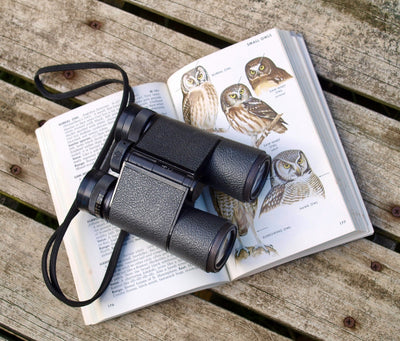 Bird Watching For Beginners - It Doesn’t Have To Be Hawkward