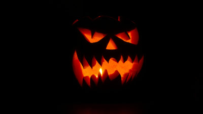 Wildlife Friendly Halloween Ideas
