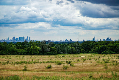 Nature Reserves in London