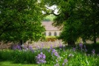 How to Holiday Proof Your Garden?