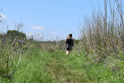 Top UK Wildlife Walks UK to Explore