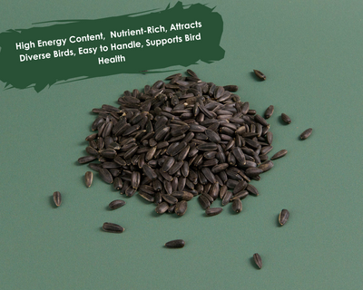 Black Sunflower Hearts