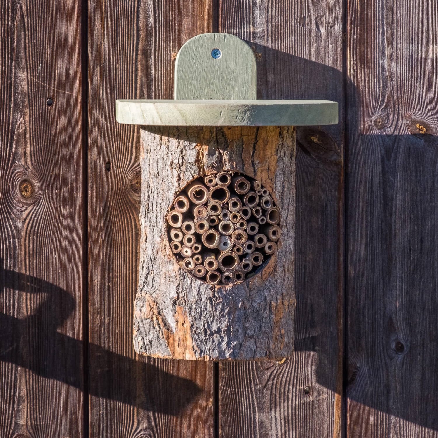 Natural Log Bee Home – Awesome Wildlife Co