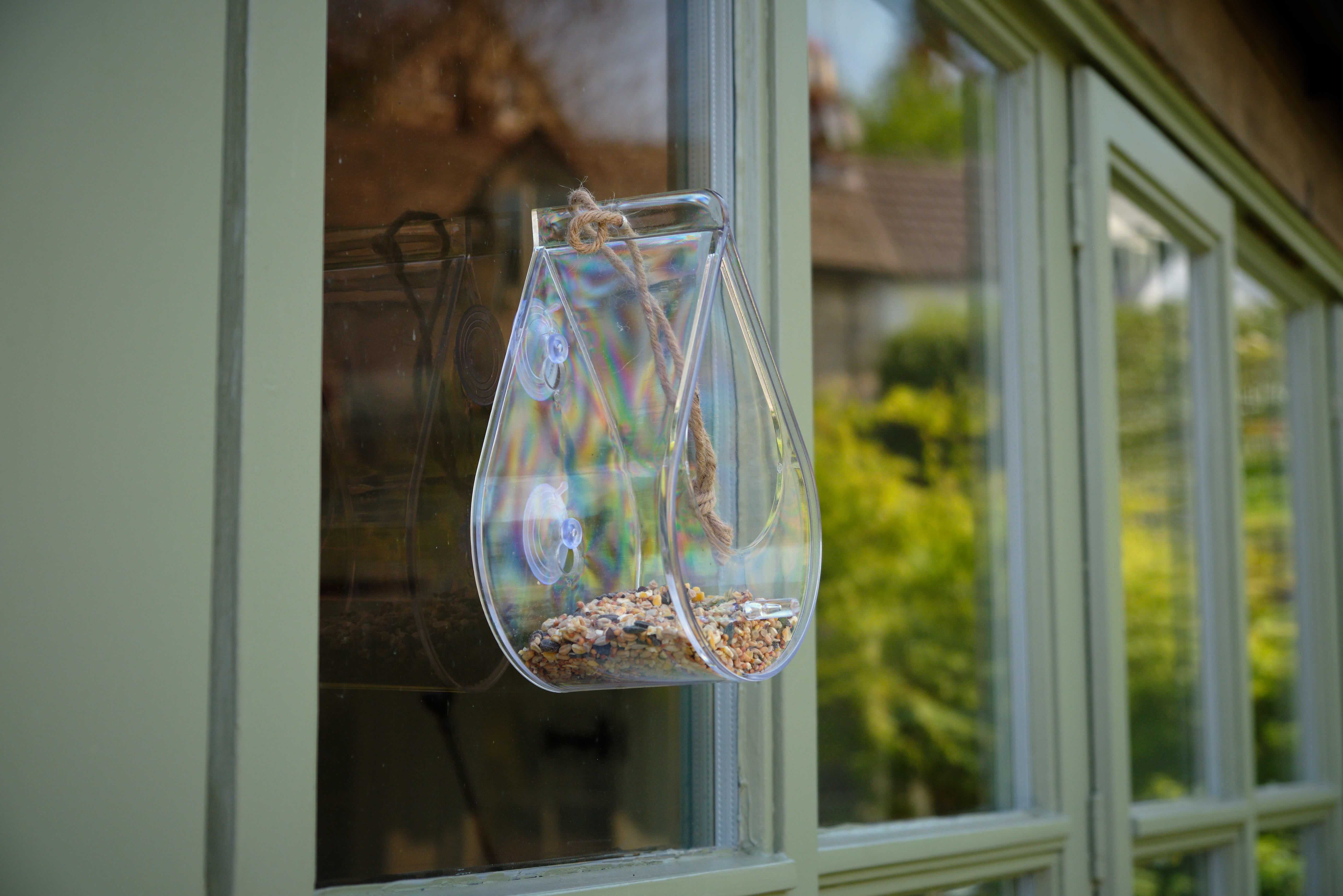 Dewdrop Window Bird Feeder – Awesome Wildlife Co