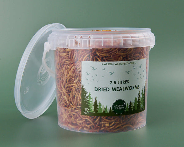 Dried Mealworms - 2.5l Tub