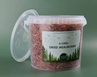 Dried Mealworms - 5l Tub