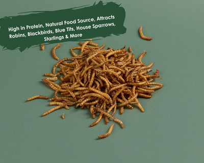 Dried Mealworms - 5l Tub