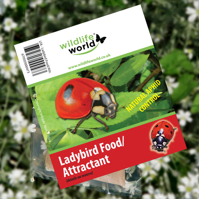 Ladybird Food/Attractant