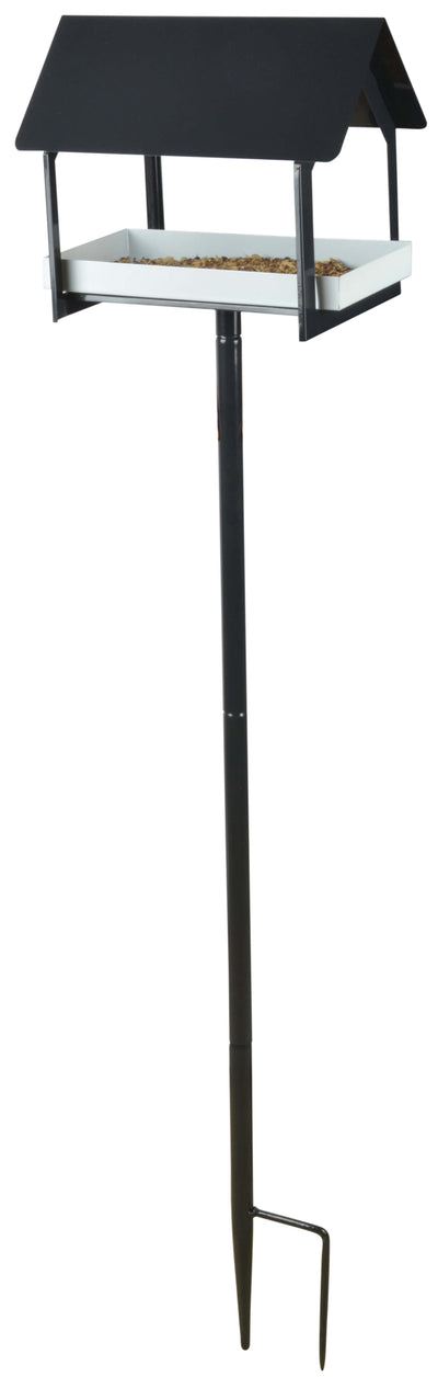 Sign Post Bird Table How to Spot the First Signs of Spring – Awesome Wildlife Co