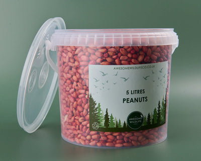 Peanuts - Premium 5l Tub
