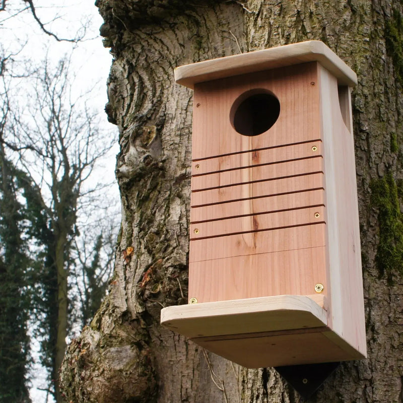 Red Squirrel Nest Box
