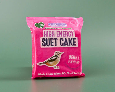 Suet Cakes/Blocks - Berry Flavour