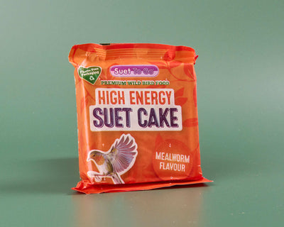 Suet Cakes/Blocks - Mealworm Flavour