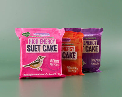 Suet Cakes/Blocks - Multi Flavour 3 Pack