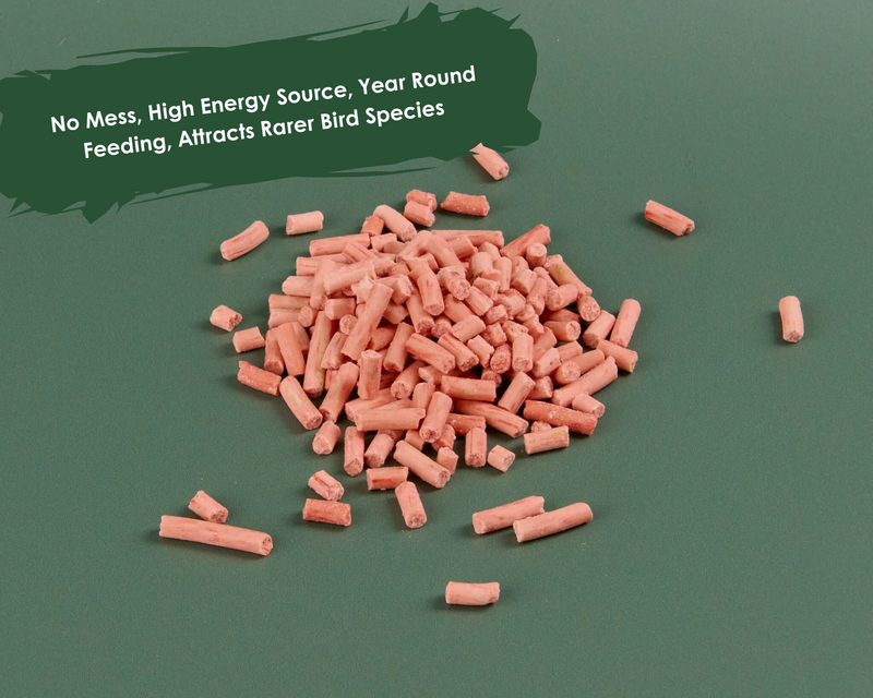 Suet Pellets - Berry Flavour