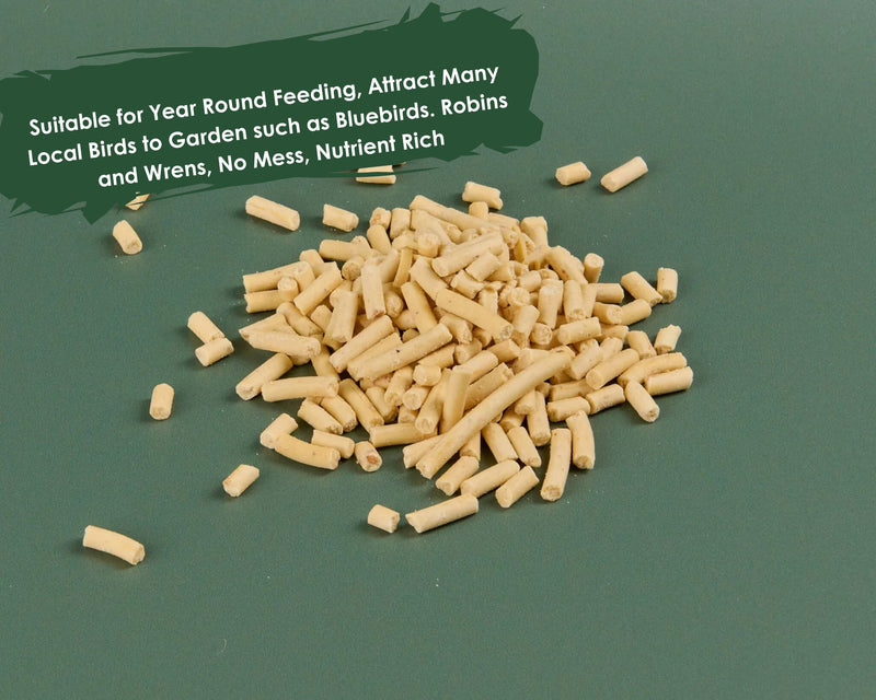 Suet Pellets - Insect Flavour