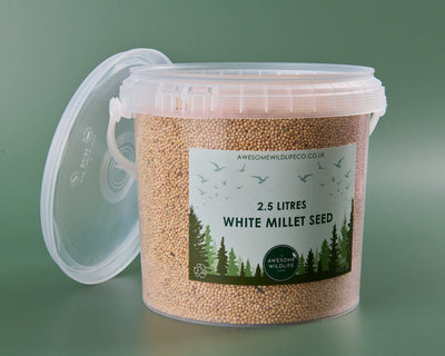 White Millet - 2.5l Tub