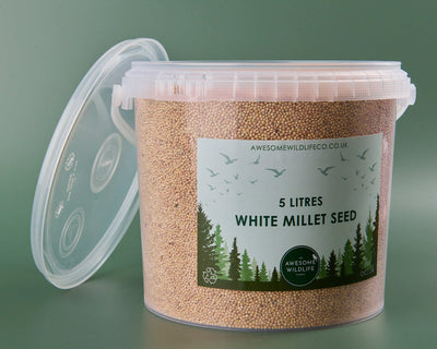 White Millet - 5l Tub