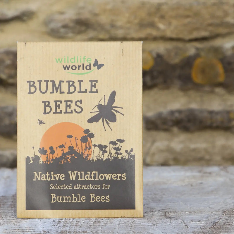 Native Wildflower Seeds for Bumblebees