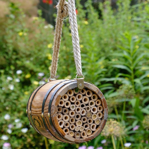 Pollinating Bee Barrel