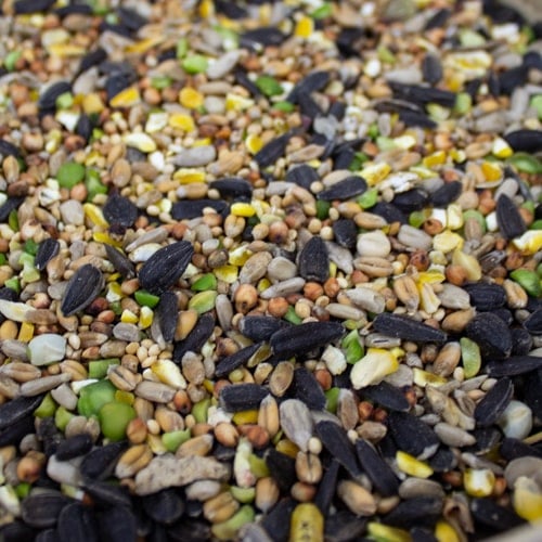 25.1kg Sunflower Rich Seed Mix (2x 12.55kg)