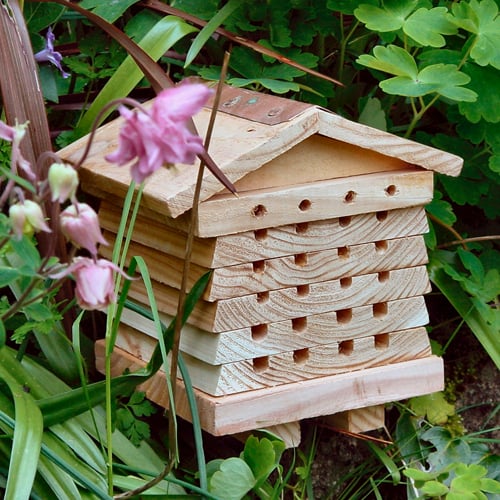 Solitary Bee Hive / Bee Habitat